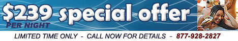 $239 per night special offer
