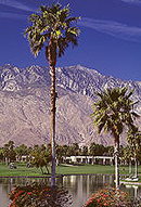 Sea Mountain Resort - Desert Hot Springs - Activities