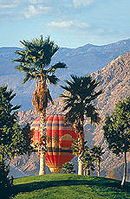 Sea Mountain Resort - Desert Hot Springs - Activities