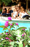 Sea Mountain Resort Spa - Contact