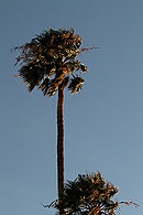 Sea Mountain Resort - Desert Hot Springs