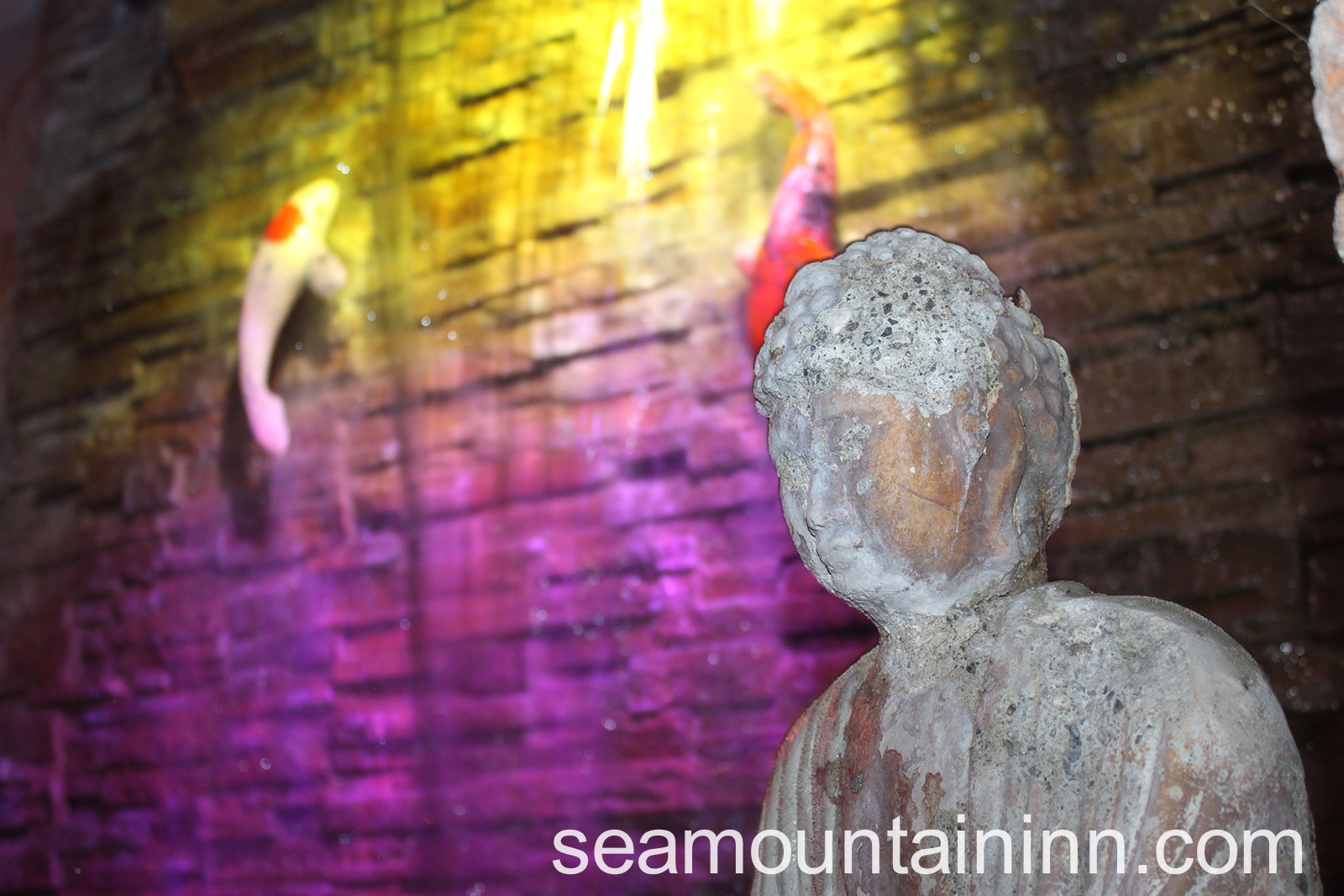 https://www.seamountaininn.com/wp-content/uploads/2018/11/seamountain18-032.jpg