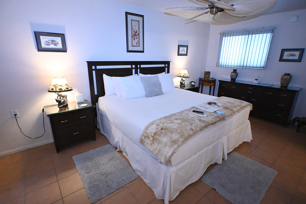 Room 14 - Image Gallery